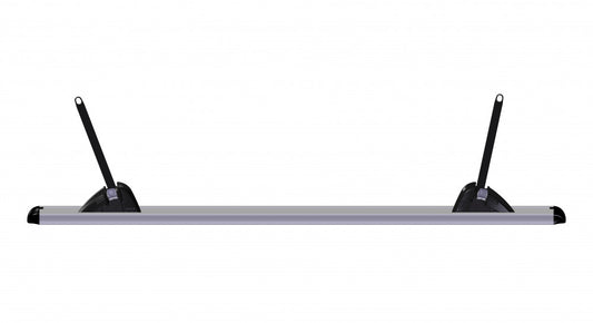 Thule E-bike Rail voor Sport G2