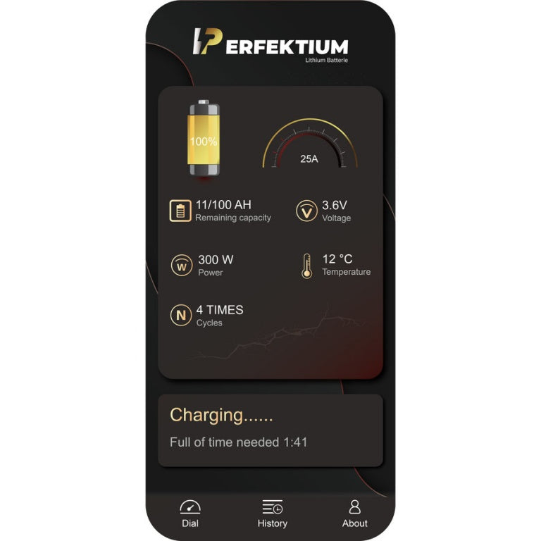 Perfektium PF LiFePo4 12.8V 180Ah Lithium Accu BT