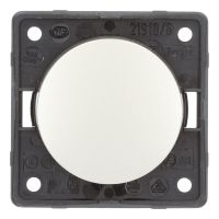 Berker Aan/Uitschakelaar Flow/Pure Inbouw RVS Mat 230V