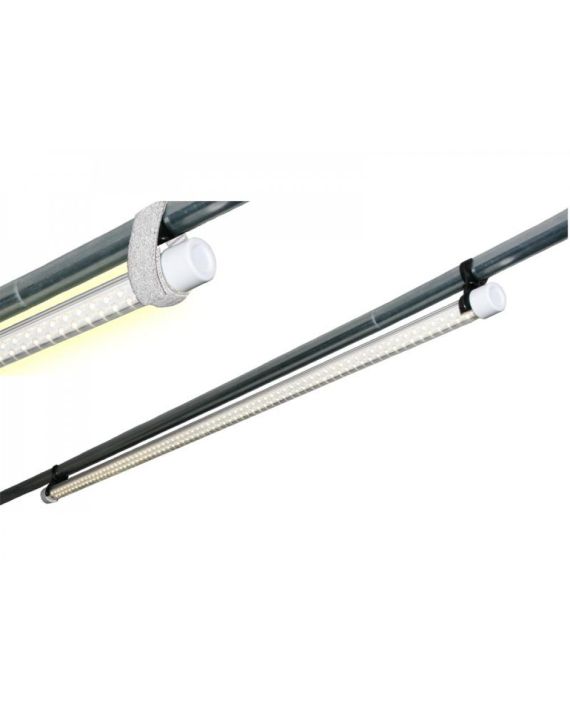 Voortentlamp Insight LED